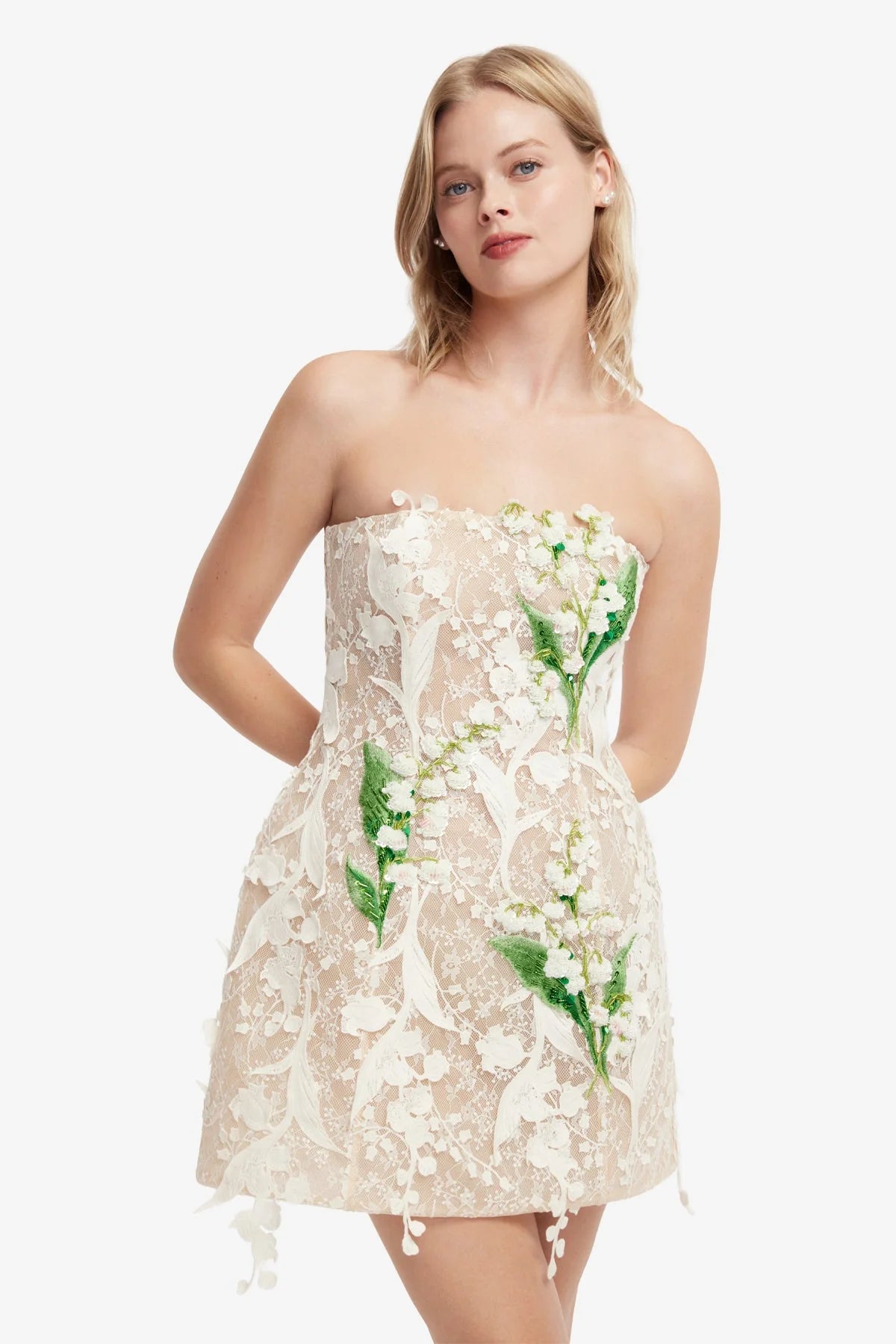 Roselle Embellished Lace Bustier Mini Dress - Snow Meadow
