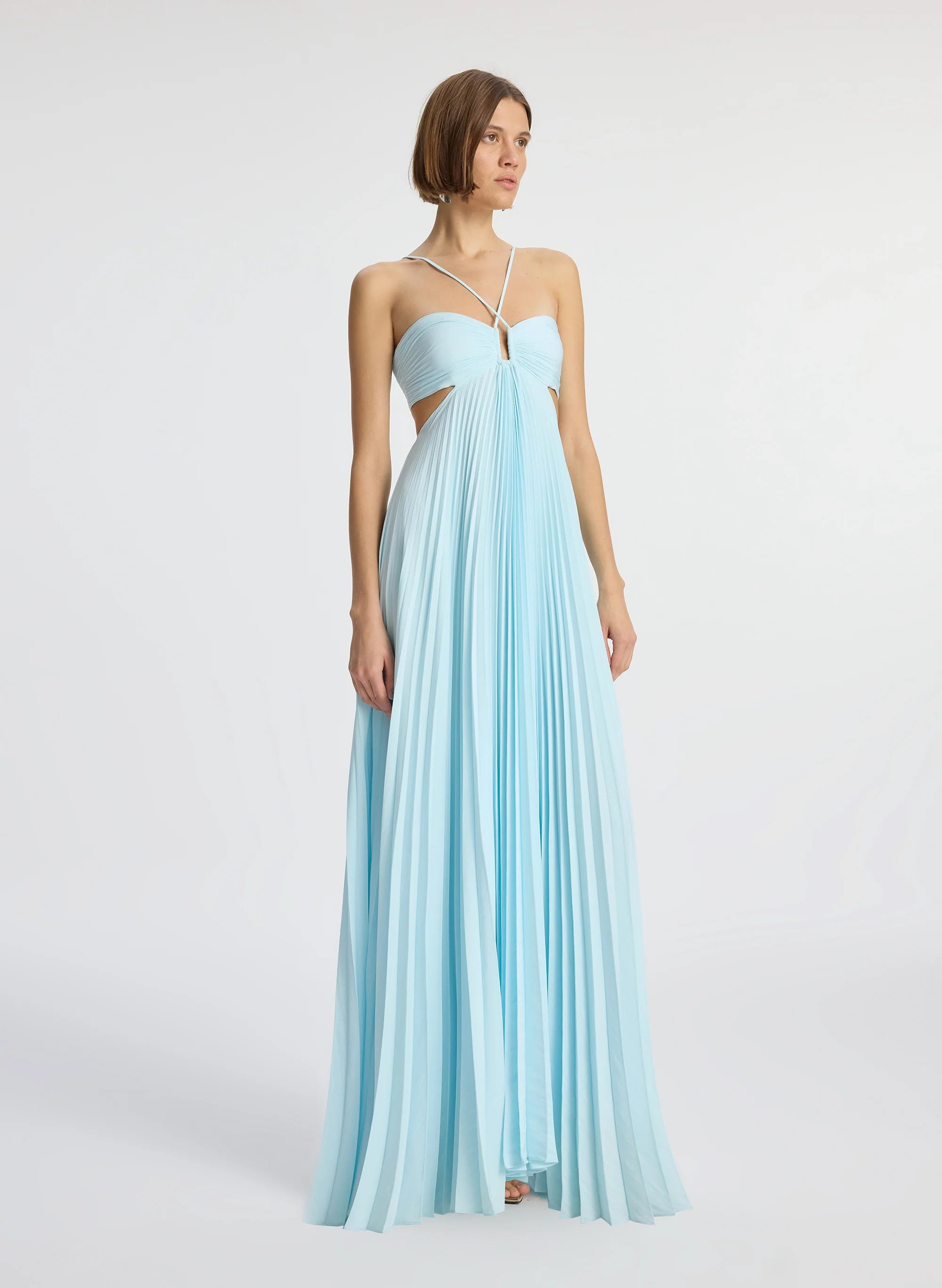 Moira Matte Pleated Dress